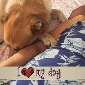 Meet your Posher, Heidi